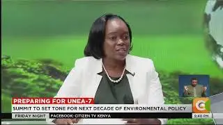 Championing Environmental Leadership at UNEA - 7 (PART 3)