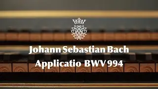 Johann Sebastian Bach - Applicatio -  C-Dur BWV 994｜Marie Nishiyama｜ J.S. バッハ アプリカティオ｜西山まりえ｜チェンバロ