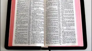 Mel Mcdaniel (Mama's Bible)