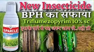 Sparcle insecticide - Triflumezopyrim 10% SC | धान को BPH से कैसे बचाए | Pexalon | New insecticide 