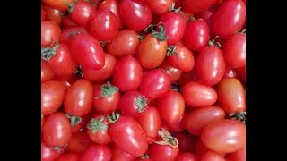#Hexu Machinery# HX-41 Cherry Tomato Half Cutting Machine