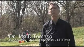 Weed Control Techniques - Part 2 of 4