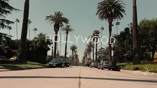 Hollywood Palm Trees x Downtown LA - SwiftsCreation [4k]