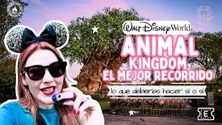 Animal Kingdom por la tarde ✨ Lo que SÍ vale la pena y cómo aprovecharlo