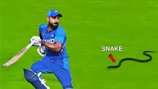 Cricket World cup 2023 special guest | snake enter in ground