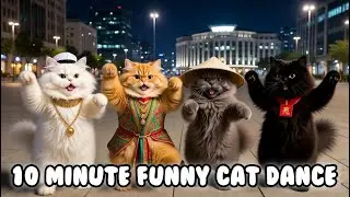 Cutest Dancing Cats Compilation 2026: 10 Minutes of Whisker-Twitching Fun! 💕