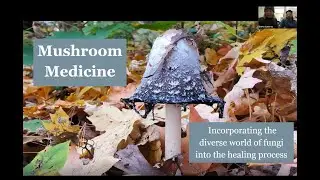 Living Well With Cancer: Mushroom Medicine: The World of Fungi in the Healing Process
