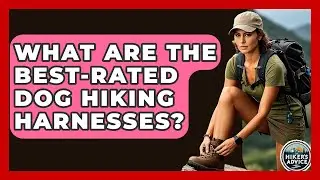 What Are The Best-rated Dog Hiking Harnesses? - The Hiker's Advice