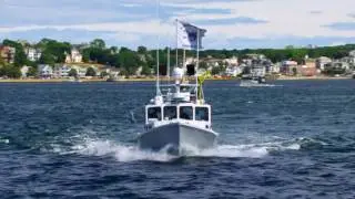 Wicked Tuna - Hickory Dickory Docked - 30 sec
