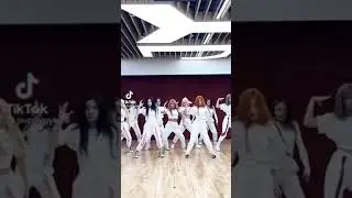 [TWICE MINA] BEST TIKTOK COMPILATION😍😍MINARIII