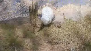 Virtual Desert Hike
