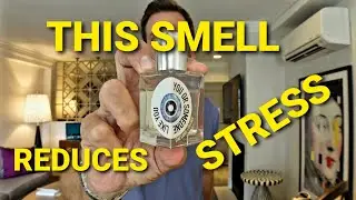 THIS SMELL REDUCES STRESS FOR ME!  WHEN MY DAY GOES BADLY, THIS FRAGRANCE GETS ME BACK ON TRACK!