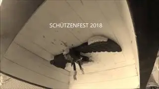 Schützenfest Jungschützen Schwaney 2018