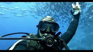 dive in sharm el sheikh , shark Yolanda reef @NatGeo