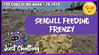 Just Chatting MOST VIEWED: izidore - BEST OF Twitch - TOP Clips of the week #26 2020