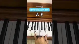 River Flows In You on Piano #piano #tutorial #riverflowsinyou #donnerddp80 #pianotutorial