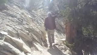 Lancie Methuselah Video