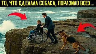 &ldquo;The Dog Who Saw Everything &mdash; When Loyalty Becomes Justice&rdquo;