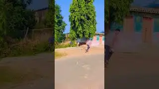 Diwali gilas dhamkka