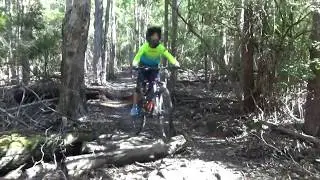 Upper Luge