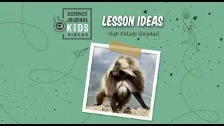 Bleeding-heart monkeys, blood oxygen, genetics & evolution: HS A&P & Bio lessons, labs, case studies
