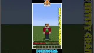FAIL - What is Entity Cramming?#mcpe #minecraft #minecraftbedrock