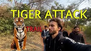 Islamabad trail hiking  | Escaping a Tiger Attack in the Wild