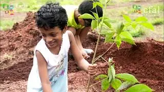 Plantation Drive