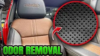 How to Remove UNWANTED Odor From Your Car's Interior