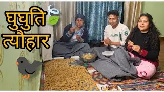 New Year, New Traditions | Ghughuti Tyohar Biggest Celebration Uttarakhand #phadilifestyle #ghughuti