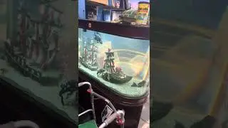 120 gallon aquarium fish tank complete $900