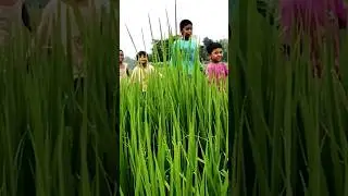 my first vlog 🔥 2026
