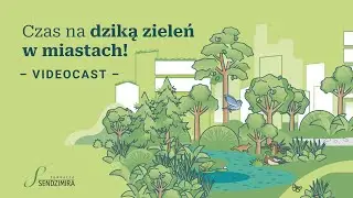 82 | Karolina Maliszewska | Czas na dziką zieleń w miastach!