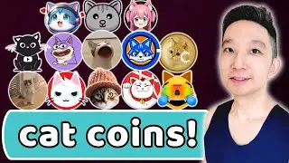 Top 10 Cat Themed Coins TA (4 June 2024)