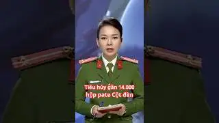 Ti&ecirc;u hủy h&agrave;ng trăm tấn thực phẩm nhiễm bệnh tại Hải Ph&ograve;ng #tinnong24h