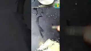 How many rice in 200 g rice counting video., itz wanted sv