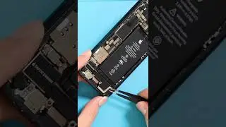iPhone 12 Mini Speaker issue?