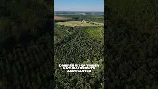 See Why Everyone Wants This North Carolina Property! 209 acres in Lenior County!