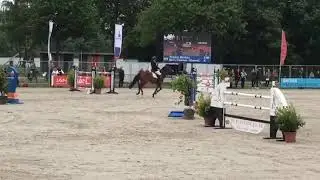 Blom&rsquo;s Funaniem 1.40@ ch Hoofddorp