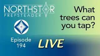 What TREES Can You TAP for SYRUP? &bull; NORTHSTAR Live! Ep. 194