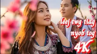 (MV 4K video) LEEJ TWG TIAG NYOB TOG - HMONG NEW SONG 2025