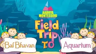 Field Trip To Bal Bhavan & Aquarium - Nov 2024