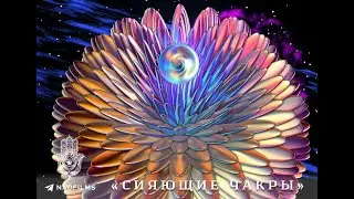 Сияющие Чакры &bull; Перевод &bull; The Illuminated Chakras