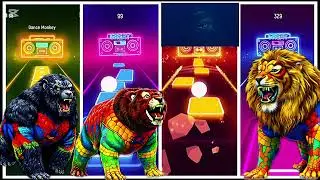 GORILLA VS BEAR VS PANDA VS LION