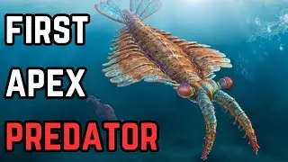 This Prehistoric Sea Monster Was Earth&rsquo;s First Super-Predator