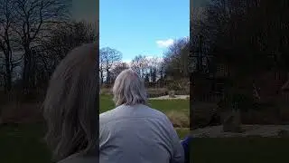 Snowy owl flying display #owl #snowyowl #conservation #wildlife #hedwig