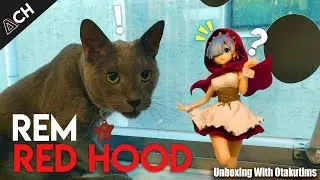 Unboxing Rem Red Hood SSS Figure with Cats