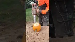 K&uuml;rbisschnitzen mit Kettens&auml;ge?😉🤣✅️ #husqvarna540ixp @husqvarna #chainsawonly #chainsawcarving