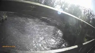 Lagan towpath bike ride