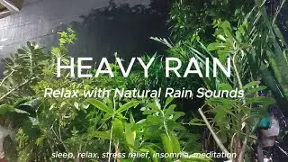 Relax with Natural Rain Sounds to Sleep FAST ⛈️❤️